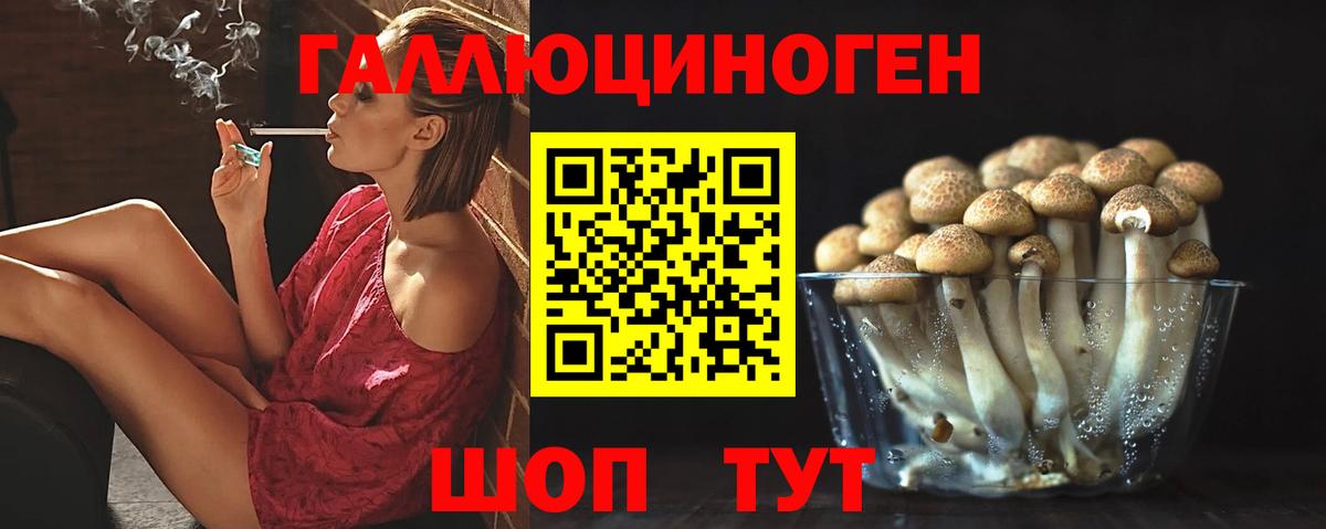 Галлюциногенные грибы Psilocybine cubensis Ликино-Дулёво